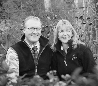 Tax planning & strategies